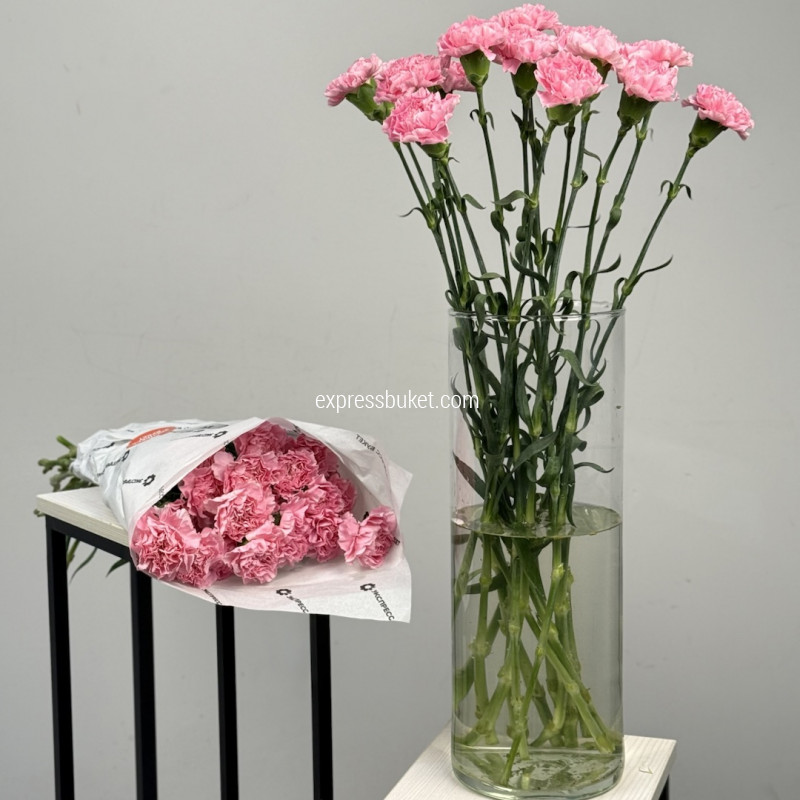 Розовые диантусы, 15 шт (пачка)
