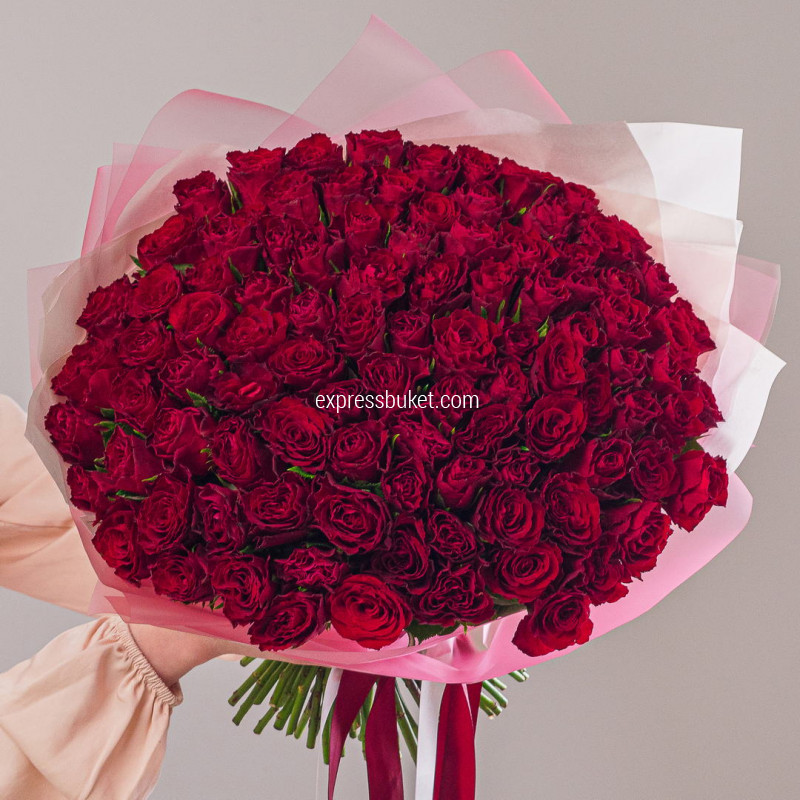 101 красная фирменная роза