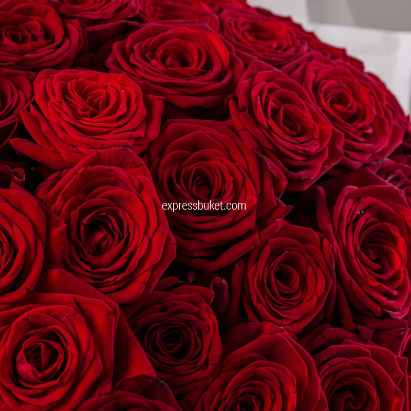 Чудесный сон