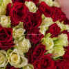 101 роза красные+белые