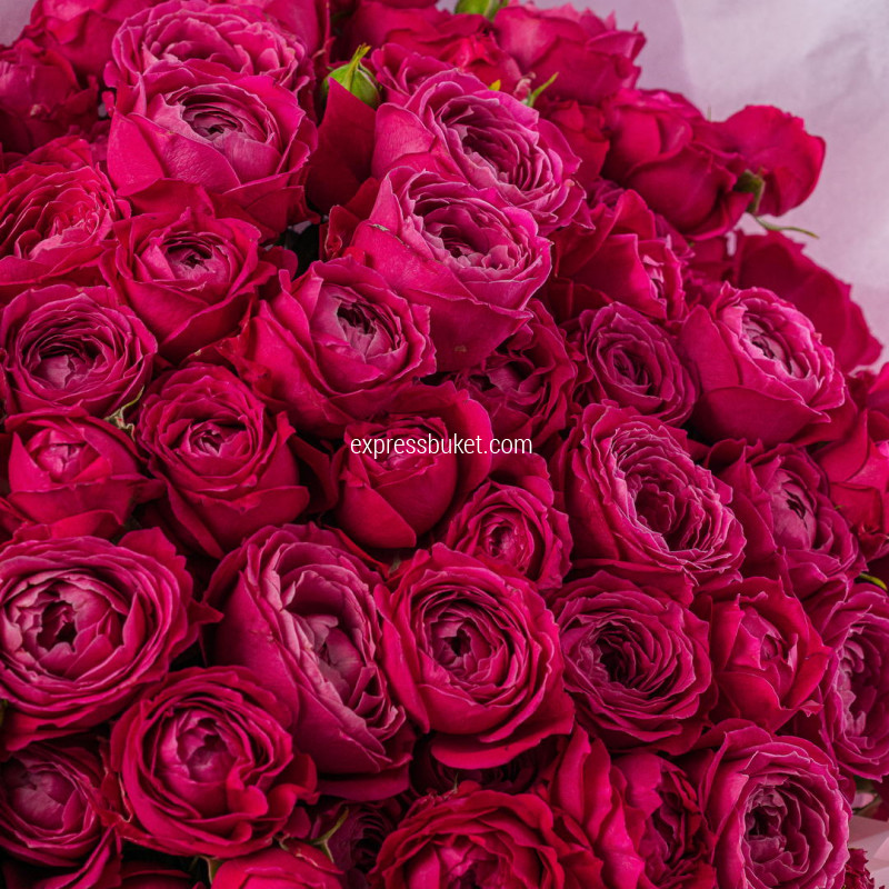 Букет из 21 пионовидной розы Мисс Баблз